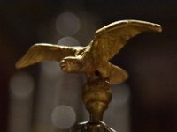 photo 12 2026-01-10 13-57-24